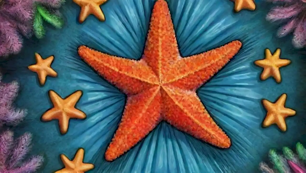 Estrella de mar en un vibrante entorno marino con simetría radial y texturas.