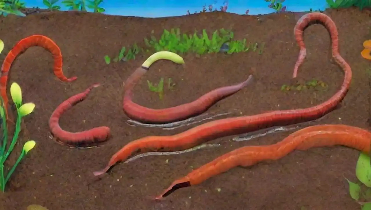 Diversidad de anélidos en ecosistemas acuáticos y terrestres.