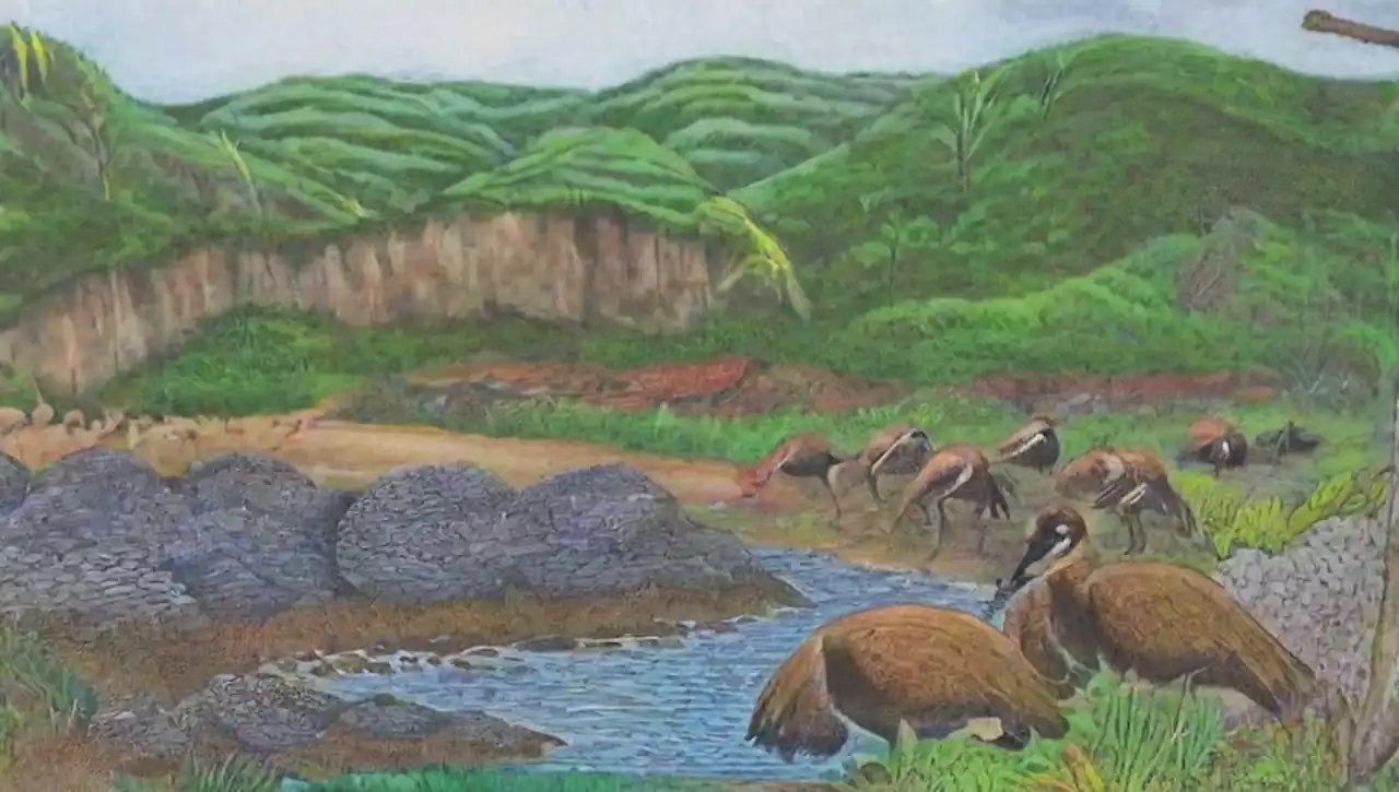 Riqueza de biodiversidad y conservación de aves en hábitats naturales.