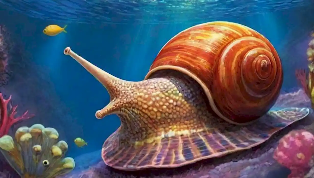 Ilustración de un caracol volcánico en un vibrante paisaje submarino lleno de vida marina y arrecifes.