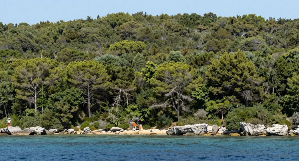 Paisaje natural protegido que representa la conservación del medio ambiente