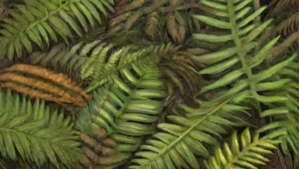 Un mágico ecosistema forestal lleno de helechos
