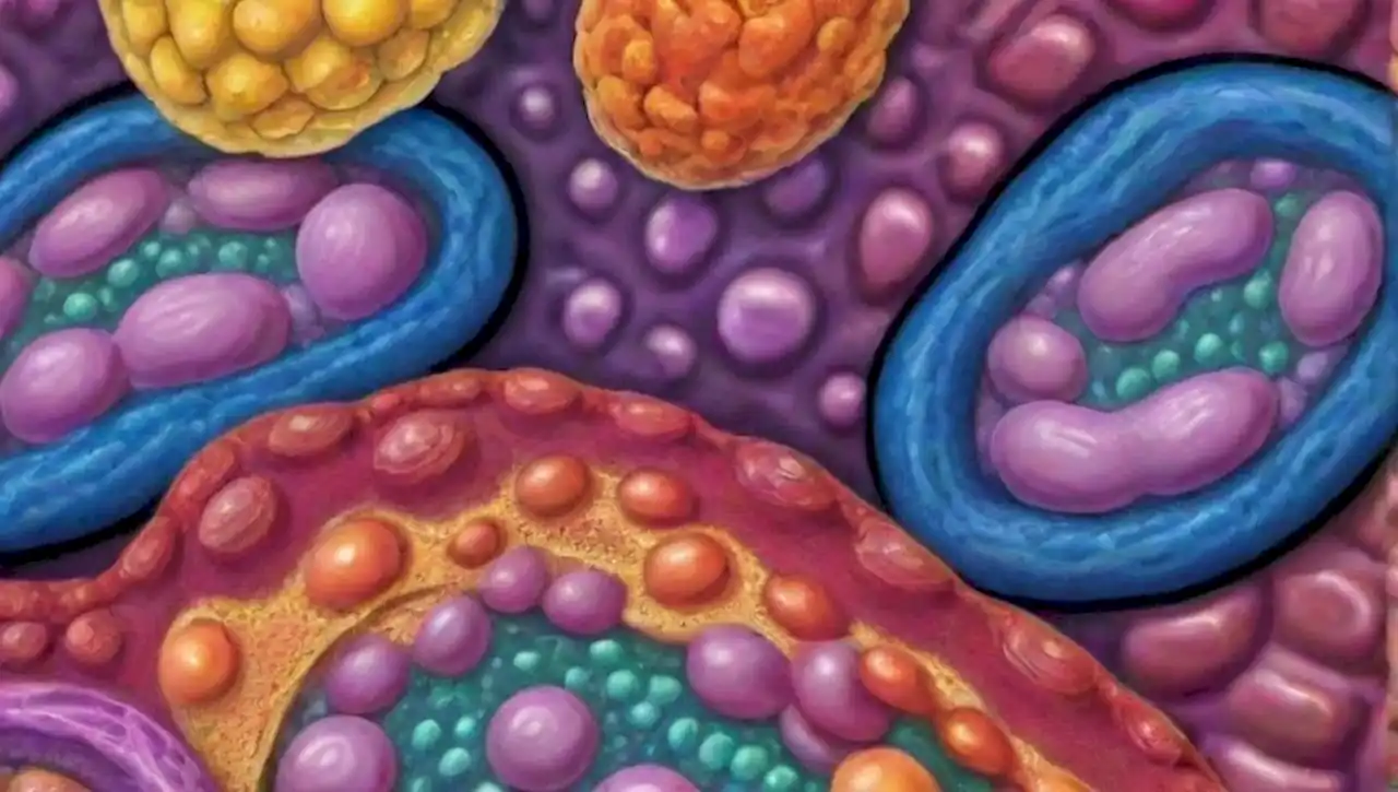 Ribosomas sintetizan proteínas en un vibrante entorno celular.
