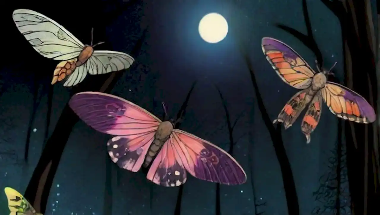 Polillas coloridas vuelan en un bosque oscuro bajo la luz de la luna.